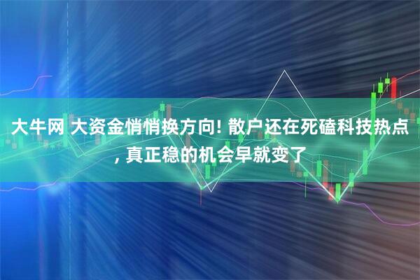 大牛网 大资金悄悄换方向! 散户还在死磕科技热点, 真正稳的机会早就变了