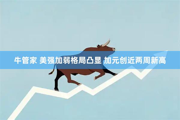 牛管家 美强加弱格局凸显 加元创近两周新高
