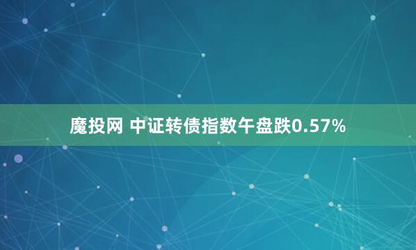 魔投网 中证转债指数午盘跌0.57%